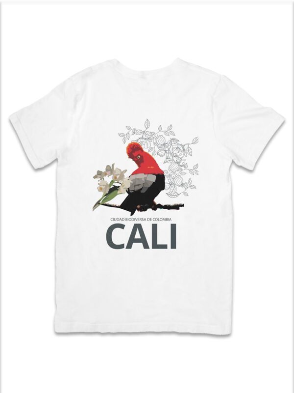 Camiseta CALI