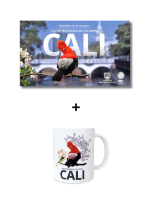 Kit Cali ciudad biodiversa de Colombia